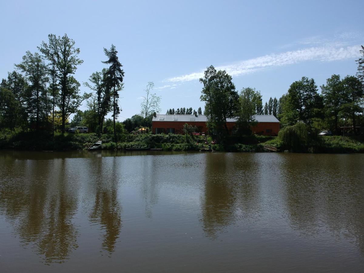 Florennes Gite Neuf 150 M2 Devant Un Grand Lac Prive De 2 Hectares Poissonneux Au Milieu Des Bois Villa Exterior photo