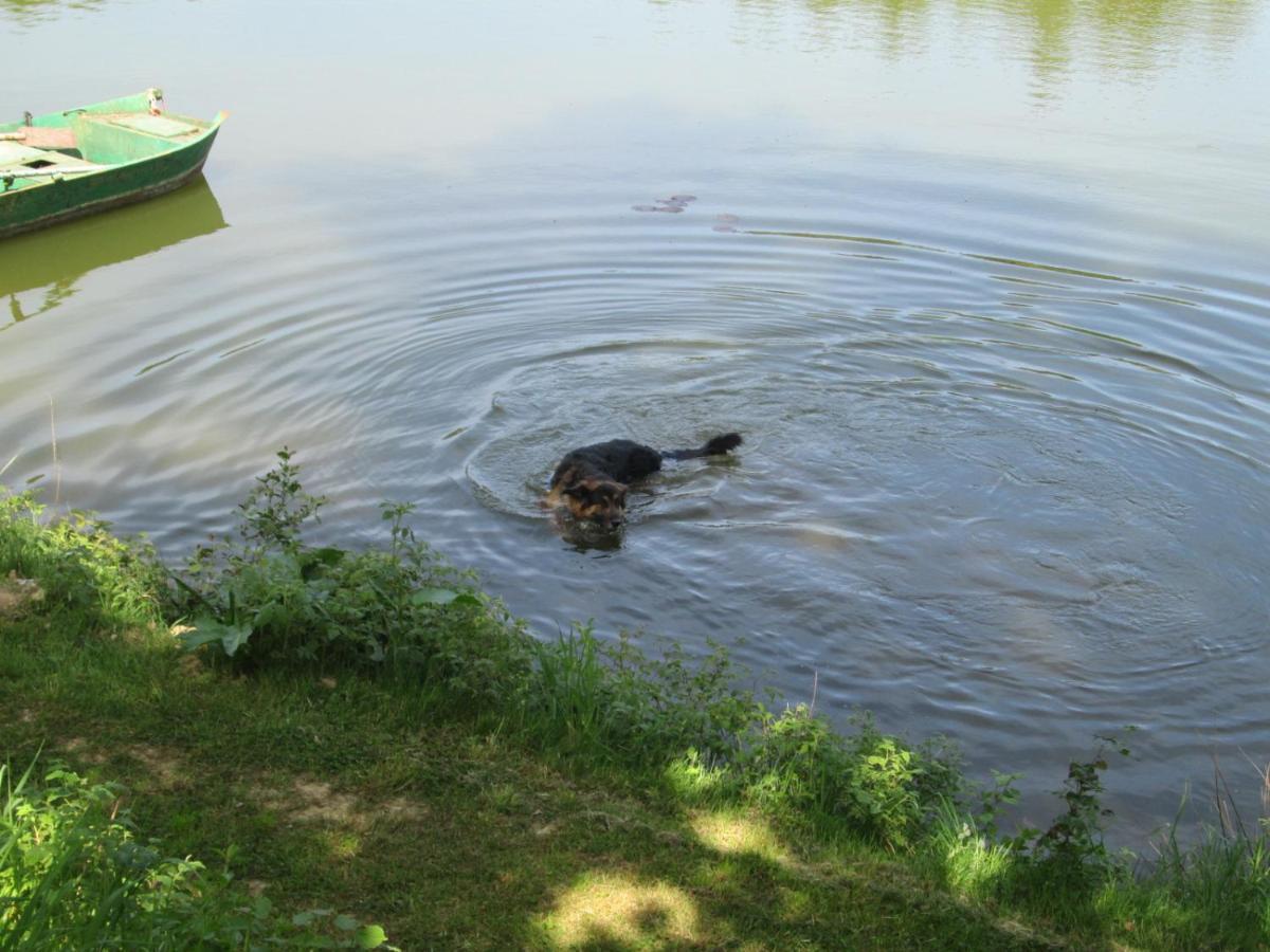 Florennes Gite Neuf 150 M2 Devant Un Grand Lac Prive De 2 Hectares Poissonneux Au Milieu Des Bois Villa Exterior photo