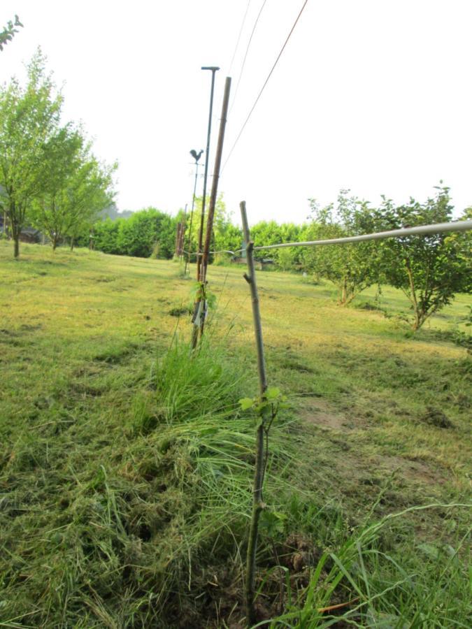 Florennes Gite Neuf 150 M2 Devant Un Grand Lac Prive De 2 Hectares Poissonneux Au Milieu Des Bois Villa Exterior photo