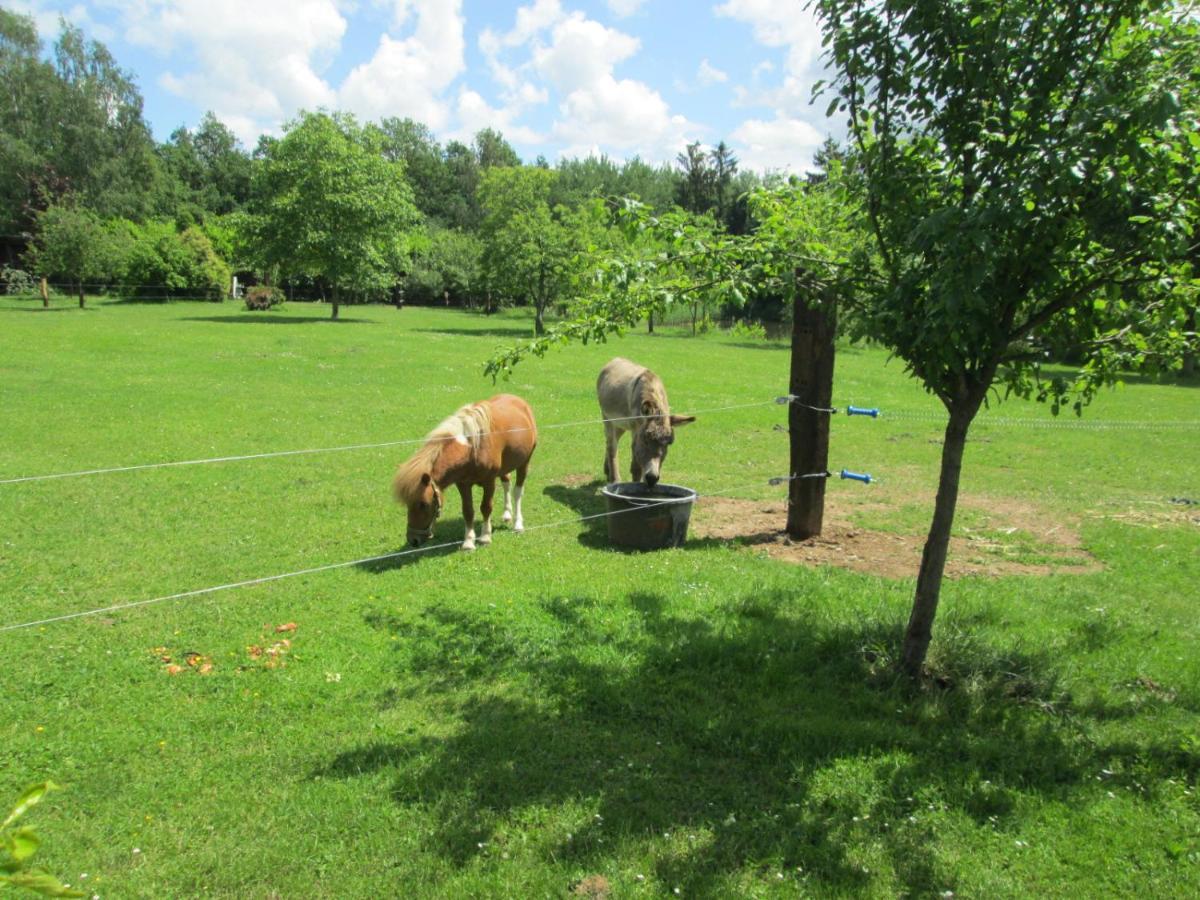 Florennes Gite Neuf 150 M2 Devant Un Grand Lac Prive De 2 Hectares Poissonneux Au Milieu Des Bois Villa Exterior photo