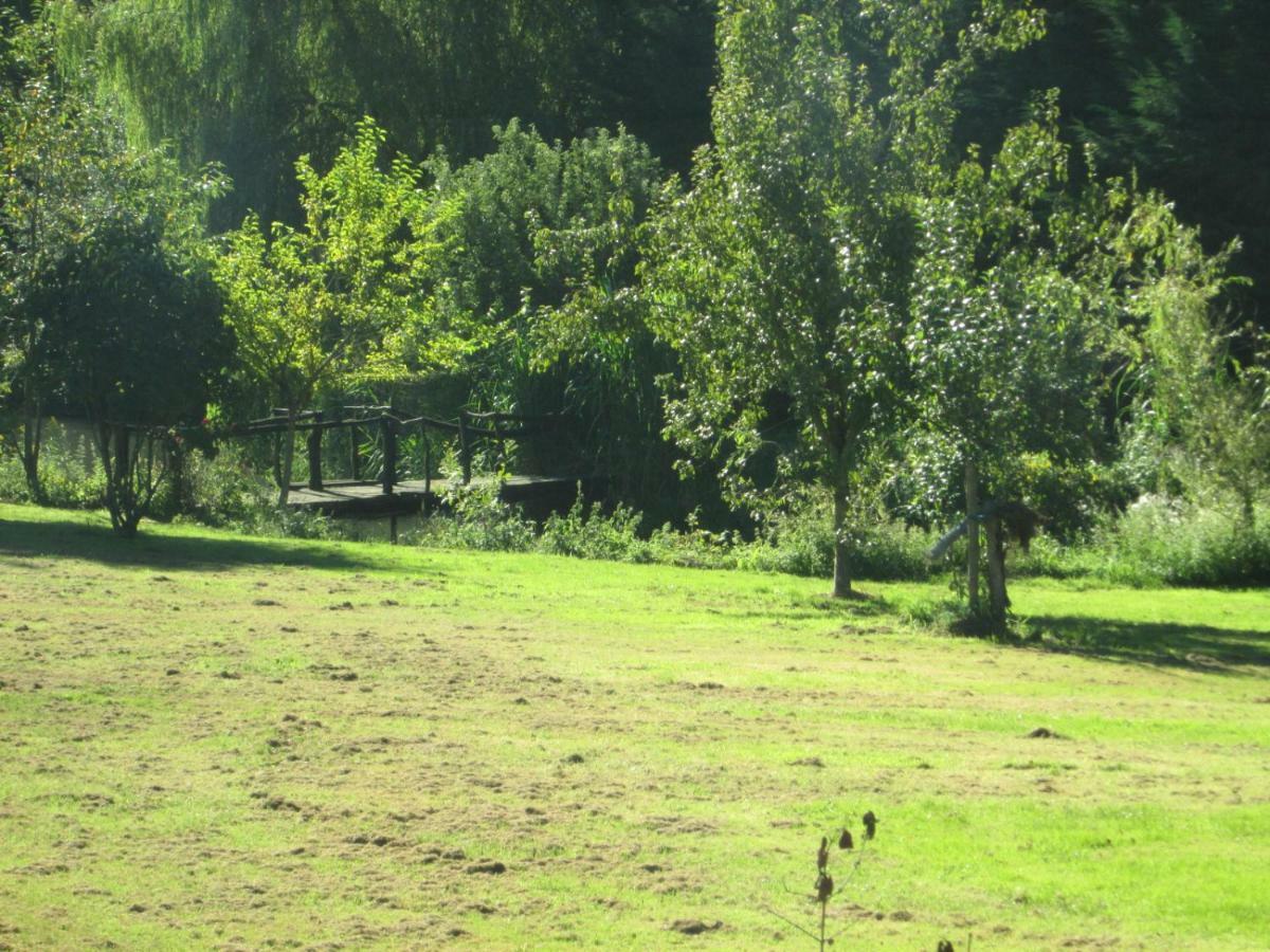 Florennes Gite Neuf 150 M2 Devant Un Grand Lac Prive De 2 Hectares Poissonneux Au Milieu Des Bois Villa Exterior photo